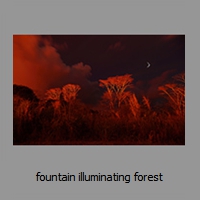 fountain illuminating forest